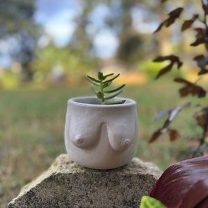 Concrete Planter Boobies for small plants , succulents or cactus. HANDMADE .
